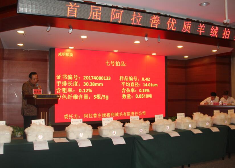 創(chuàng)新引領(lǐng)未來，品質(zhì)鑄就輝煌 首屆阿拉善優(yōu)質(zhì)羊絨拍賣會盛大舉行