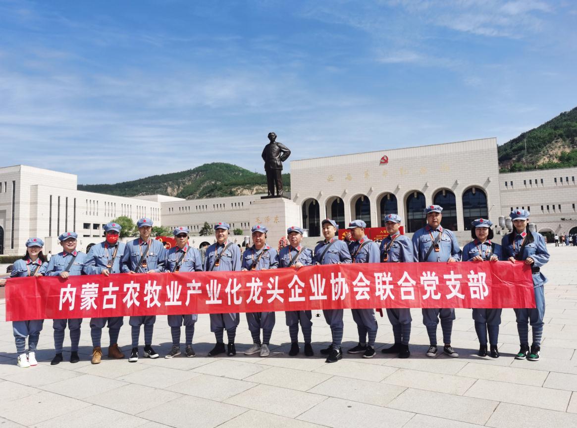 內(nèi)蒙古農(nóng)牧業(yè)產(chǎn)業(yè)化龍頭企業(yè)協(xié)會聯(lián)合黨支部赴延安革命圣地開展“學黨史、感黨恩、跟黨走”主題黨日活動
