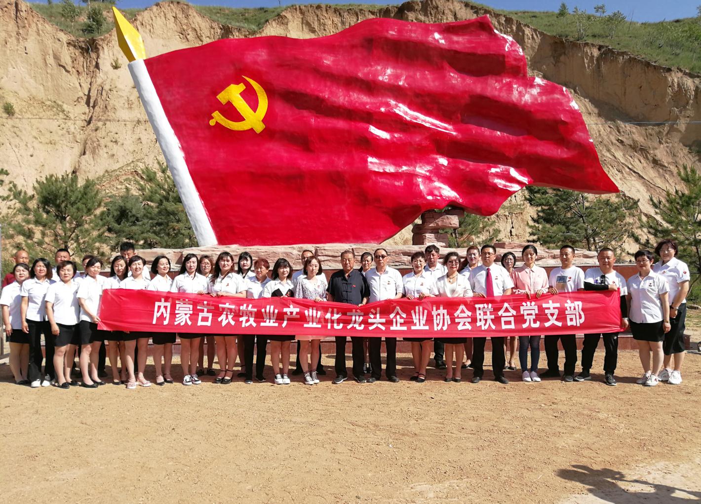 內(nèi)蒙古農(nóng)牧業(yè)產(chǎn)業(yè)化龍頭企業(yè)協(xié)會走進石人灣村開展“辦實事、解難題，送溫暖，傳黨恩”公益活動